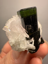 Load image into Gallery viewer, Dark Green Cap Stak Nala Tourmaline on Cleavelandite Matrix – Haramosh Mountains, Pakistan
