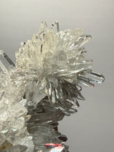 Load image into Gallery viewer, High-Grade Chrysanthemum Quartz (Needle Quartz) Spray Cluster | Jiangxi, China
