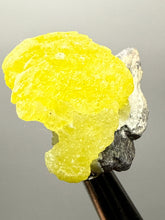 Load image into Gallery viewer, Vibrant Yellow Brucite Thumbnail Mineral Specimen | Collector Crystal from Killa Saifullah District in Balochistan Province, Pakistan
