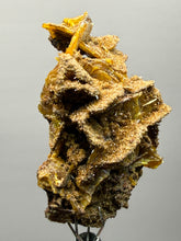 Load image into Gallery viewer, High-Grade Orange Wulfenite Collector Display Specimen | La Morita Mine, Chihuahua, Mexico
