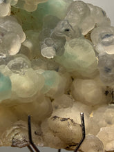 Load image into Gallery viewer, Blue-Green Chrysocolla in Botryoidal Chalcedony Cabinet Specimen | Indonesia
