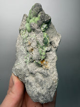 Load image into Gallery viewer, High-Grade Green Wavellite Collectors Specimen - Radiating Botryoidal Crystal Formation - Arkansas, USA
