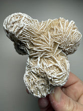 Load image into Gallery viewer, Desert Rose Selenite (Gypsum) — Mineral Display Specimen | Mexico
