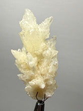 Load image into Gallery viewer, High-Grade Flower Calcite Crystal Specimen | Wenshan Mine, Yunnan, China | Collector Mineral Display
