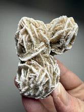 Load image into Gallery viewer, Desert Rose Selenite (Gypsum) — Mineral Display Specimen | Mexico
