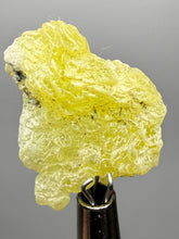 Load image into Gallery viewer, Vibrant Yellow Brucite Thumbnail Mineral Specimen | Collector Crystal from Killa Saifullah District in Balochistan Province, Pakistan
