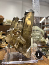 Load image into Gallery viewer, Smoky Citrine (Natural) • Madagascar
