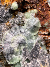 Load image into Gallery viewer, High-Grade Green Wavellite Collectors Specimen - Radiating Botryoidal Crystal Formation - Arkansas, USA
