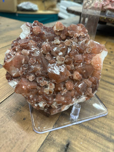 Red Druzy Phantom Apophyllite w Stilbite VERY RARE • Maharashtra, India