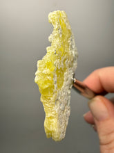 Load image into Gallery viewer, Vibrant Yellow Brucite Thumbnail Mineral Specimen | Collector Crystal from Killa Saifullah District in Balochistan Province, Pakistan
