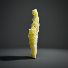 Load image into Gallery viewer, Vibrant Yellow Brucite Thumbnail Mineral Specimen | Collector Crystal from Killa Saifullah District in Balochistan Province, Pakistan
