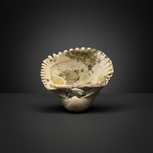 Load image into Gallery viewer, Bivalve (Pelecypoda) Fossil Sea Shell with Chalcopyrite | Mineralized Fossil Specimen | Indonesia
