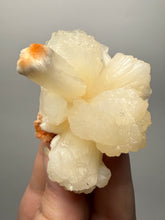 Load image into Gallery viewer, Cream Stilbite Flower on
Orange Heulandite Zeolite Cluster – India (Collector Mineral Specimen)

