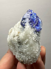 Load image into Gallery viewer, Afghanite &amp; Lazurite on Matrix Collector Display Specimen | Badakhshan Region, Afghanistan
