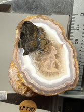 Load image into Gallery viewer, Natural Laguna Agate Collector Mineral Specimen | Chihuahua, Mexico
