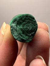Load image into Gallery viewer, 3.5” High-Grade Malachite Stalactite “Cave” Formation | DR Congo | Mineral Collector Specimen
