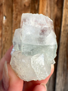 Mint Green Apophyllite w Red Phantom • Maharashtra, India