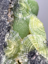 Load image into Gallery viewer, High-Grade Green Wavellite Collectors Specimen - Radiating Botryoidal Crystal Formation - Arkansas, USA
