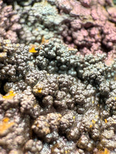 Load image into Gallery viewer, Iridescent Rainbow Turgite Mineral Specimen from Umklum Mountain, Thailand | Collector-Grade Rainbow Hematite Display Piece
