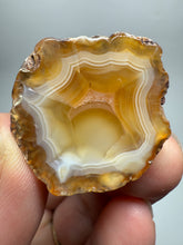 Load image into Gallery viewer, Lot of 9 Small Malawi Agate Halves – Polished Rare Colorful Collector Specimens
