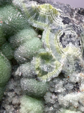 Load image into Gallery viewer, High-Grade Green Wavellite Collectors Specimen - Radiating Botryoidal Crystal Formation - Arkansas, USA
