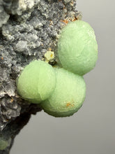 Load image into Gallery viewer, High-Grade Green Wavellite Collectors Specimen - Radiating Botryoidal Crystal Formation - Arkansas, USA
