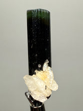 Load image into Gallery viewer, Dark Green Cap Stak Nala Tourmaline and Cleavelandite – Haramosh Mountains, Pakistan | Thumbnail Specimen
