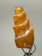Load image into Gallery viewer, Agatized Gastropod Fossil Specimen | Morocco
