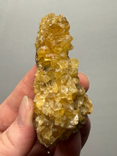 Load image into Gallery viewer, Golden Glow Calcite Cluster | Maharashtra, India
