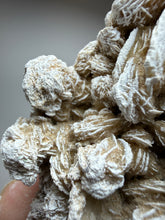 Load image into Gallery viewer, Desert Rose Selenite (Gypsum) — Mineral Display Specimen | Mexico
