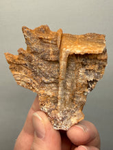 Load image into Gallery viewer, Chalcedony Quartz Rose Agate Collector Mineral Specimen – Morocco
