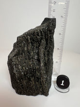 Load image into Gallery viewer, Black Druzy Petrified Wood from Indonesia
