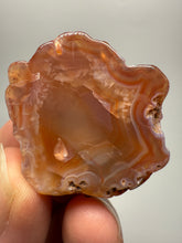 Load image into Gallery viewer, Lot of 9 Small Malawi Agate Halves – Polished Rare Colorful Collector Specimens
