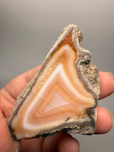 Load image into Gallery viewer, High-Grade Indonesian Sumatra Agate Pair – Vibrant Banded Chalcedony with Rich Color Zoning | Ethical Lapidary &amp; Collector Display Specimens
