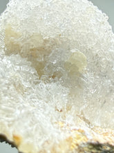 Load image into Gallery viewer, RARE COMBO Moroccan Ram’s Horn Selenite (Gypsum) with Yellow Botryoidal Fluorite Display Specimen
