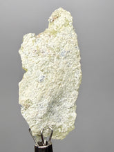Load image into Gallery viewer, Vibrant Yellow Brucite Thumbnail Mineral Specimen | Collector Crystal from Killa Saifullah District in Balochistan Province, Pakistan
