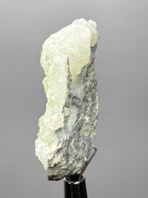 Load image into Gallery viewer, Vibrant Yellow Brucite Thumbnail Mineral Specimen | Collector Crystal from Killa Saifullah District in Balochistan Province, Pakistan
