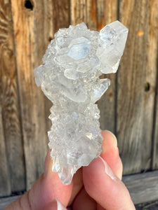Gem Apophyllite Stalactite • Maharashtra, India