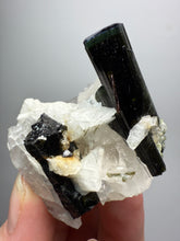 Load image into Gallery viewer, Blue Cap Dark Green Stak Nala Tourmaline and Quartz on Cleavelandite Matrix – Haramosh Mountains, Pakistan
