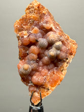 Load image into Gallery viewer, “Goblin Chalcedony” Pink &amp; Orange Druzy Botryoidal Stalactites— Tichka Massif, High Atlas, Morocco
