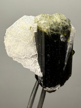 Load image into Gallery viewer, Dark Green Cap Stak Nala Tourmaline with Cleavelandite Flower – Haramosh Mountains, Pakistan | Thumbnail Specimen
