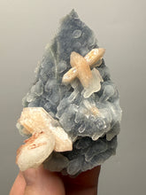Load image into Gallery viewer, Pink Stilbite Druzy on Botryoidal Blue Chalcedony | High-Grade Mineral Collector Specimen
