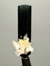 Load image into Gallery viewer, Dark Green Cap Stak Nala Tourmaline and Cleavelandite – Haramosh Mountains, Pakistan | Thumbnail Specimen
