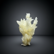Load image into Gallery viewer, High-Grade Coral Aragonite Specimen | Wenshan Mine, Yunnan, China | Collector Mineral Display
