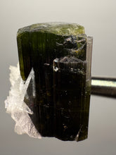 Load image into Gallery viewer, Dark Green Cap Stak Nala Tourmaline with Cleavelandite Flower – Haramosh Mountains, Pakistan | Thumbnail Specimen
