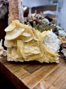 Golden Petal Calcite on Flower Quartz (AKA Potato Calcite) • China