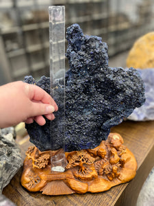 Museum Grade Azurite on stand from Chessy France