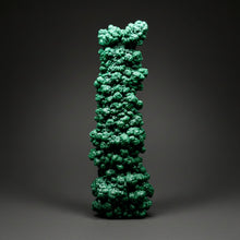 Load image into Gallery viewer, 7.1” Museum-Grade Druzy Malachite Stalactite “Cave” Formation | DR Congo | Mineral Collector Specimen
