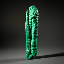 Load image into Gallery viewer, 8.1” High-Grade Malachite Stalactite “Cave” Formation | DR Congo | Mineral Collector Specimen
