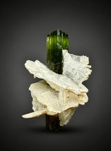 Load image into Gallery viewer, Dark Green Stak Nala Tourmaline and Cleavelandite – Haramosh Mountains, Pakistan | Thumbnail Specimen

